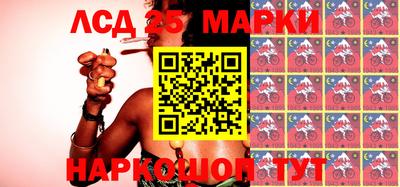 индика Новозыбков