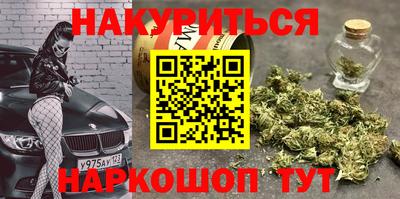 индика Новозыбков