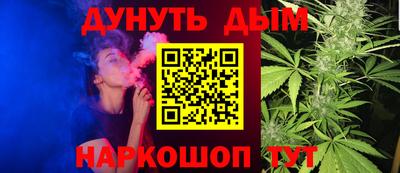 индика Новозыбков