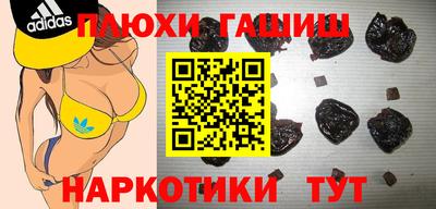 индика Новозыбков