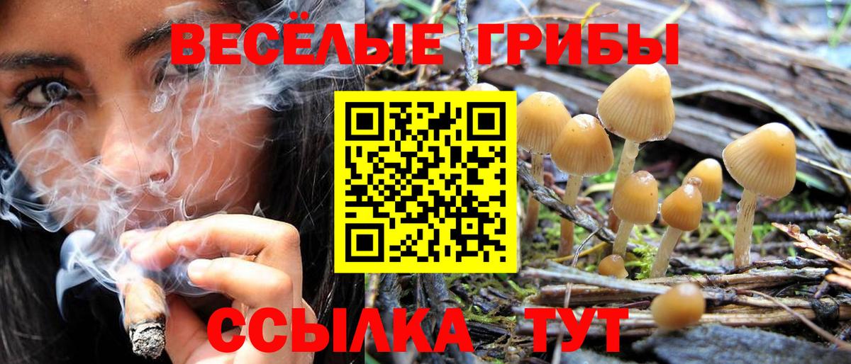 Псилоцибиновые грибы Magic Shrooms  Вход с VPN  Полысаево 